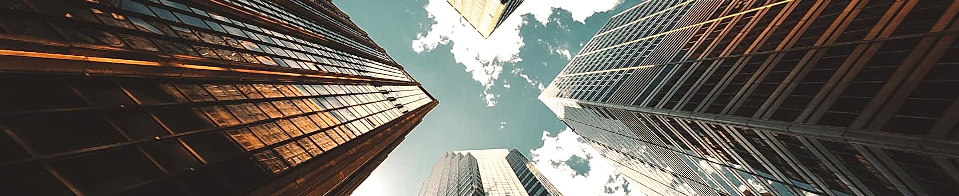 Doğanın Estetiği Şehirle Buluşuyor