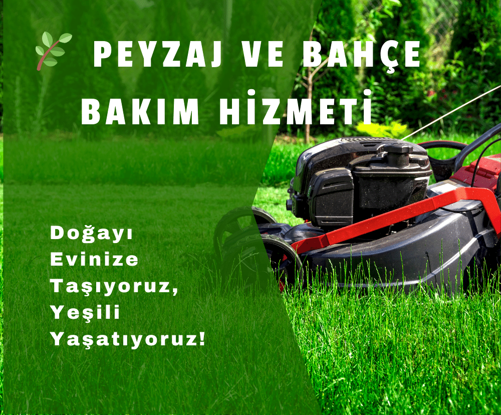Bahçe Temizliği ve Bakım